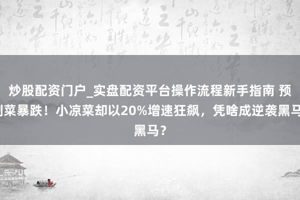 炒股配资门户_实盘配资平台操作流程新手指南 预制菜暴跌！小凉菜却以20%增速狂飙，凭啥成逆袭黑马？