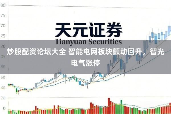 炒股配资论坛大全 智能电网板块颤动回升，智光电气涨停