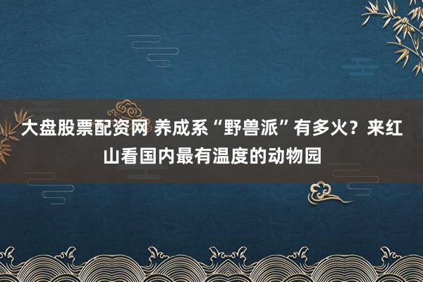 大盘股票配资网 养成系“野兽派”有多火？来红山看国内最有温度的动物园