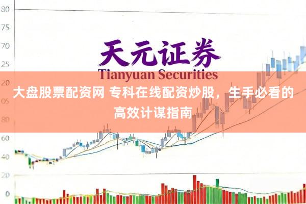 大盘股票配资网 专科在线配资炒股,生手必看的高效计谋指南