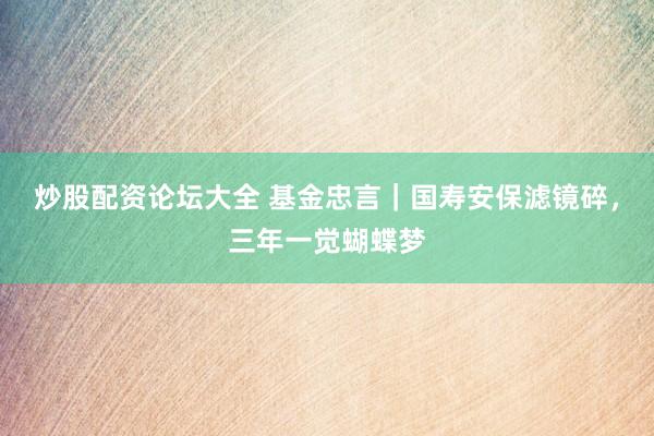 炒股配资论坛大全 基金忠言｜国寿安保滤镜碎，三年一觉蝴蝶梦