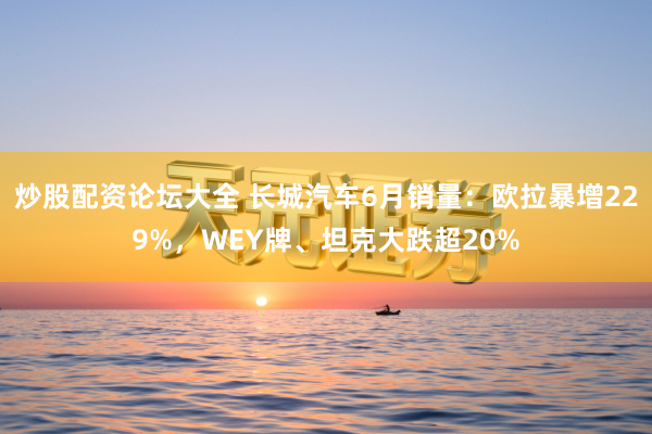 炒股配资论坛大全 长城汽车6月销量：欧拉暴增229%，WEY牌、坦克大跌超20%