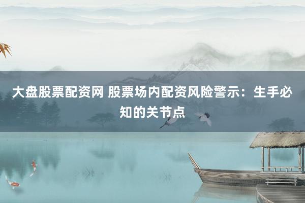 大盘股票配资网 股票场内配资风险警示：生手必知的关节点